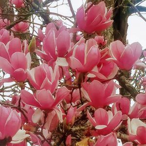 Meet your Posher, Katy